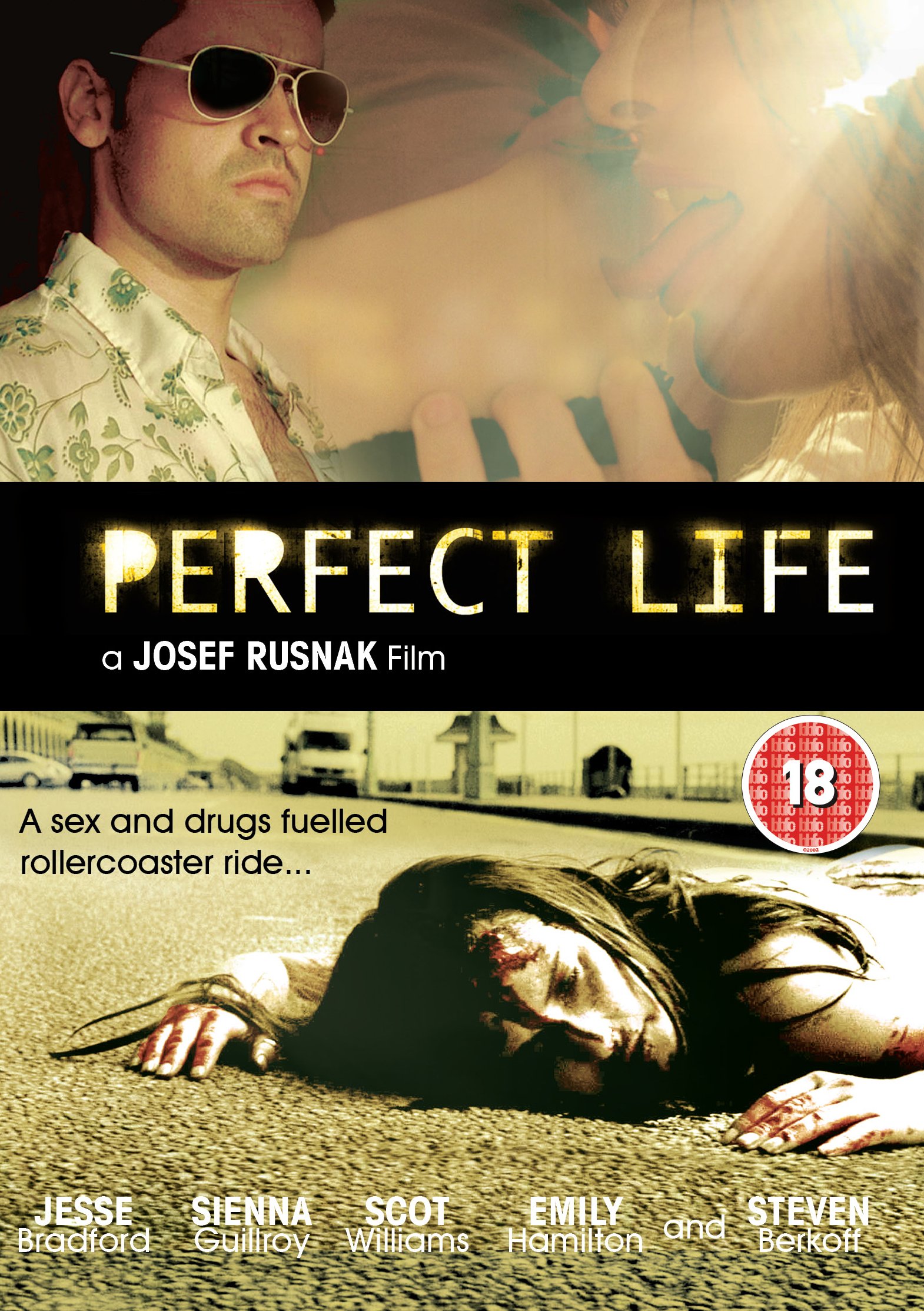 Perfect life 3. Идеальная жизнь 2010. Perfect Life.