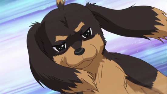 Slasher - Season 5 - Asuka The Disc Dog