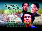 Preview Image for Screenshot from Shaolin Kung Fu