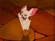 Preview Image for Screenshot from Bartok The Magnificent