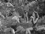 Preview Image for Screenshot from Tarzan Collection, The