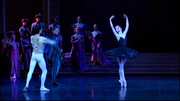 Preview Image for Screenshot from Tchaikovsky: Swan Lake