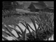 Preview Image for Screenshot from Seven Samurai - The Criterion Collection