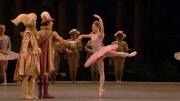 Preview Image for Image for Tchaikovsky: Sleeping Beauty (Royal Ballet)