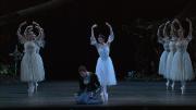 Preview Image for Image for Adam: Giselle (The Royal Ballet)