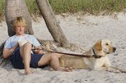 Preview Image for Image for Marley & Me