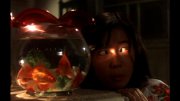 Preview Image for Image for House [Hausu]: The Masters of Cinema Series