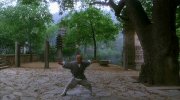 Preview Image for Image for Tai Chi Master