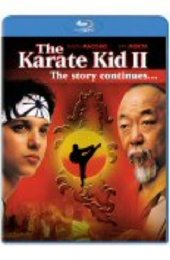 Preview Image for The Karate Kid 2