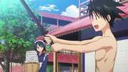 Preview Image for Image for UQ Holder! Collection